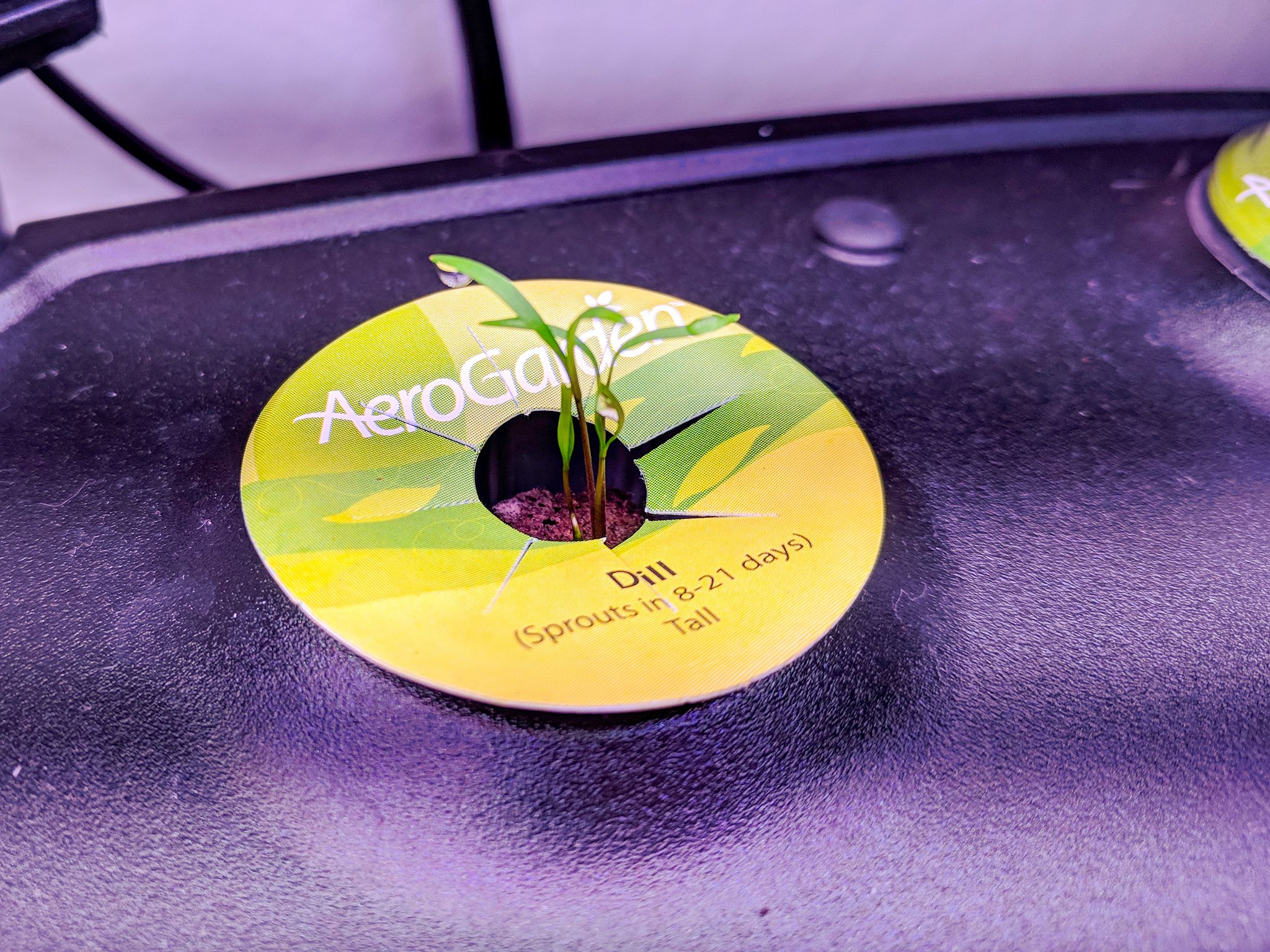 AeroGarden Pods