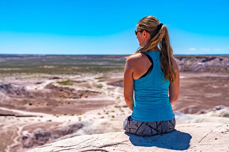 Petrified Forest National Park