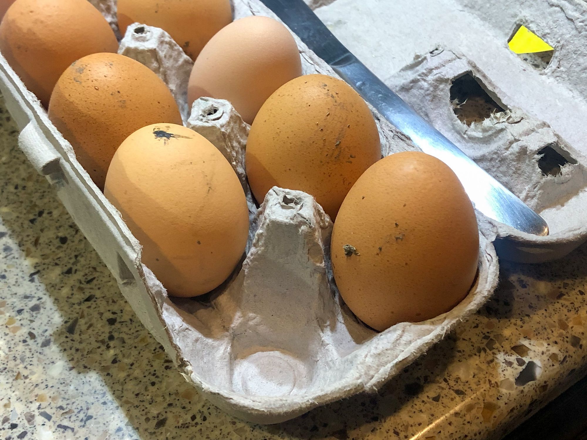 Fresh Eggs Vermont