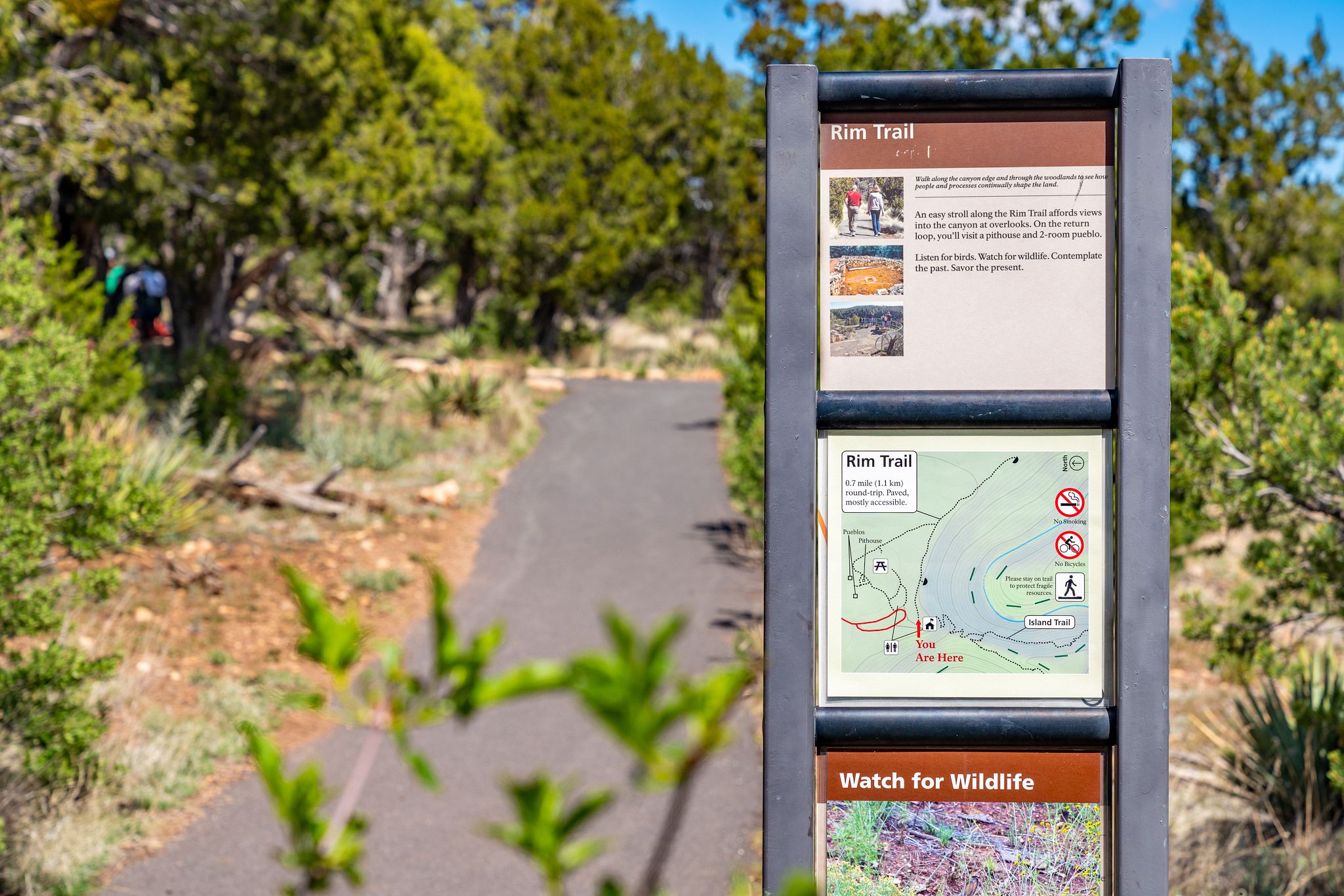 Walnut Canyon Rim Trail