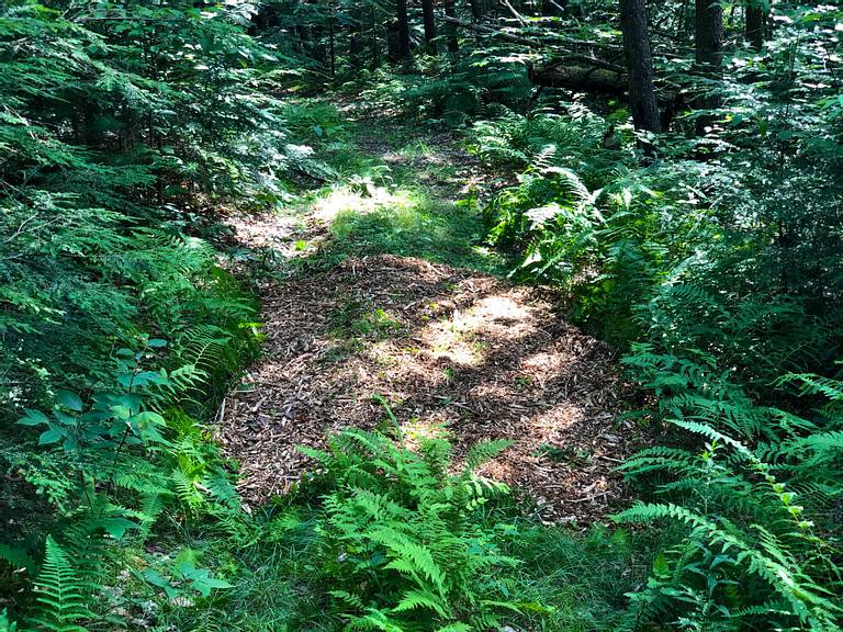 Spreading Wood Chips on Trails