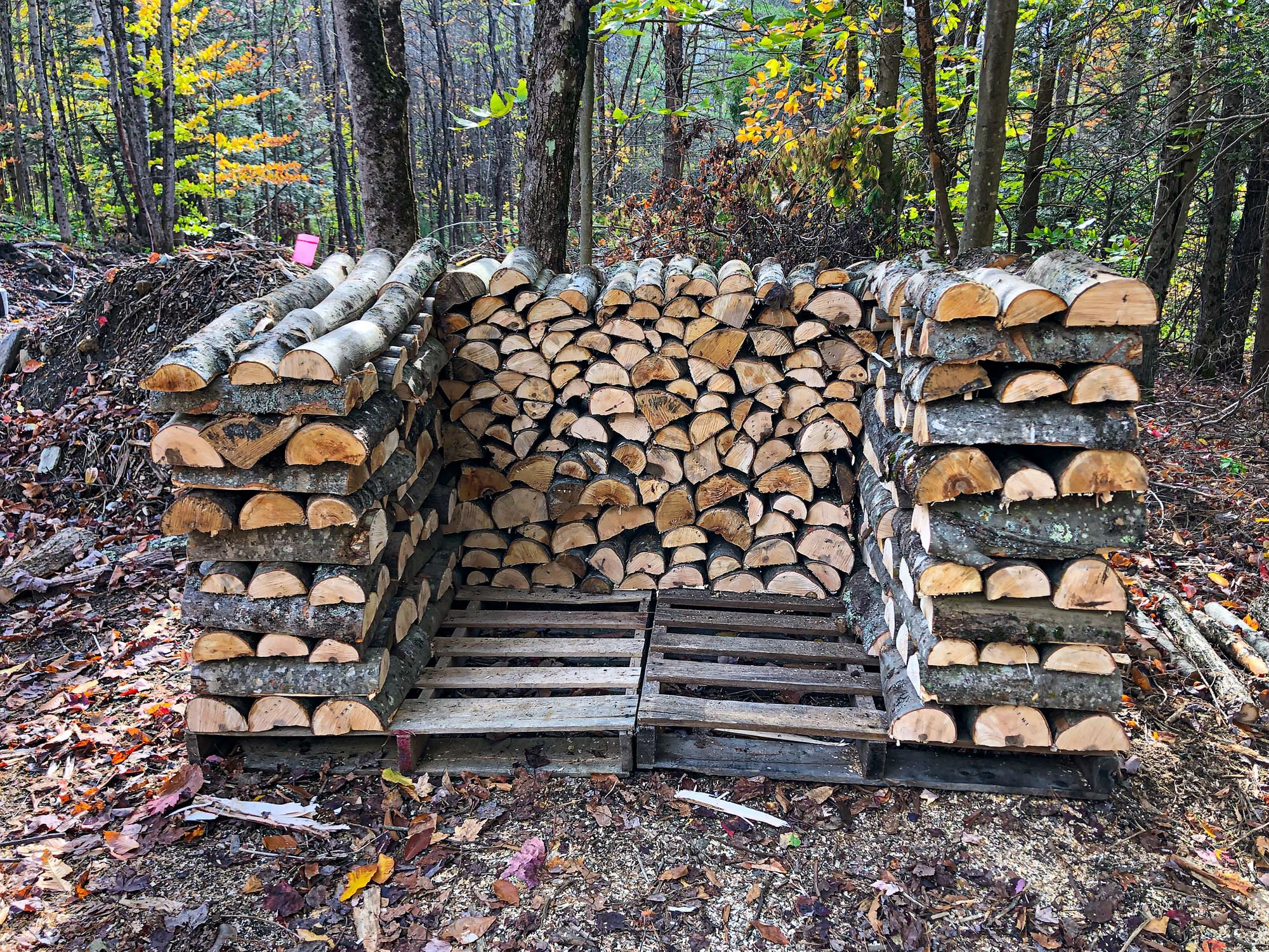 Cutting Firewood