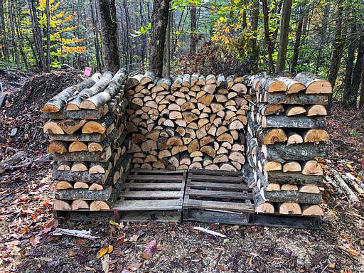 Cutting Firewood