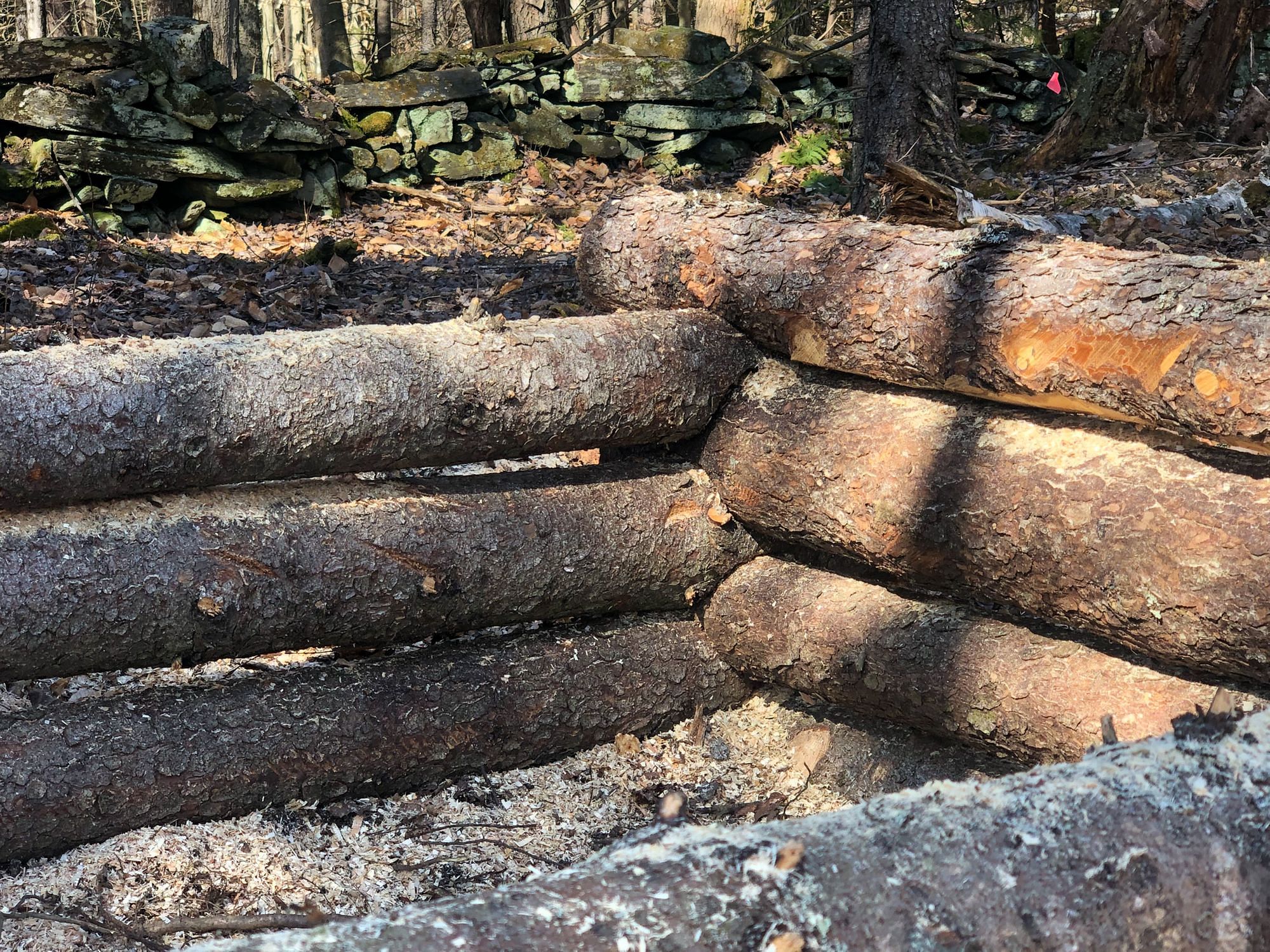 Log Raised Bed Saddle Cuts