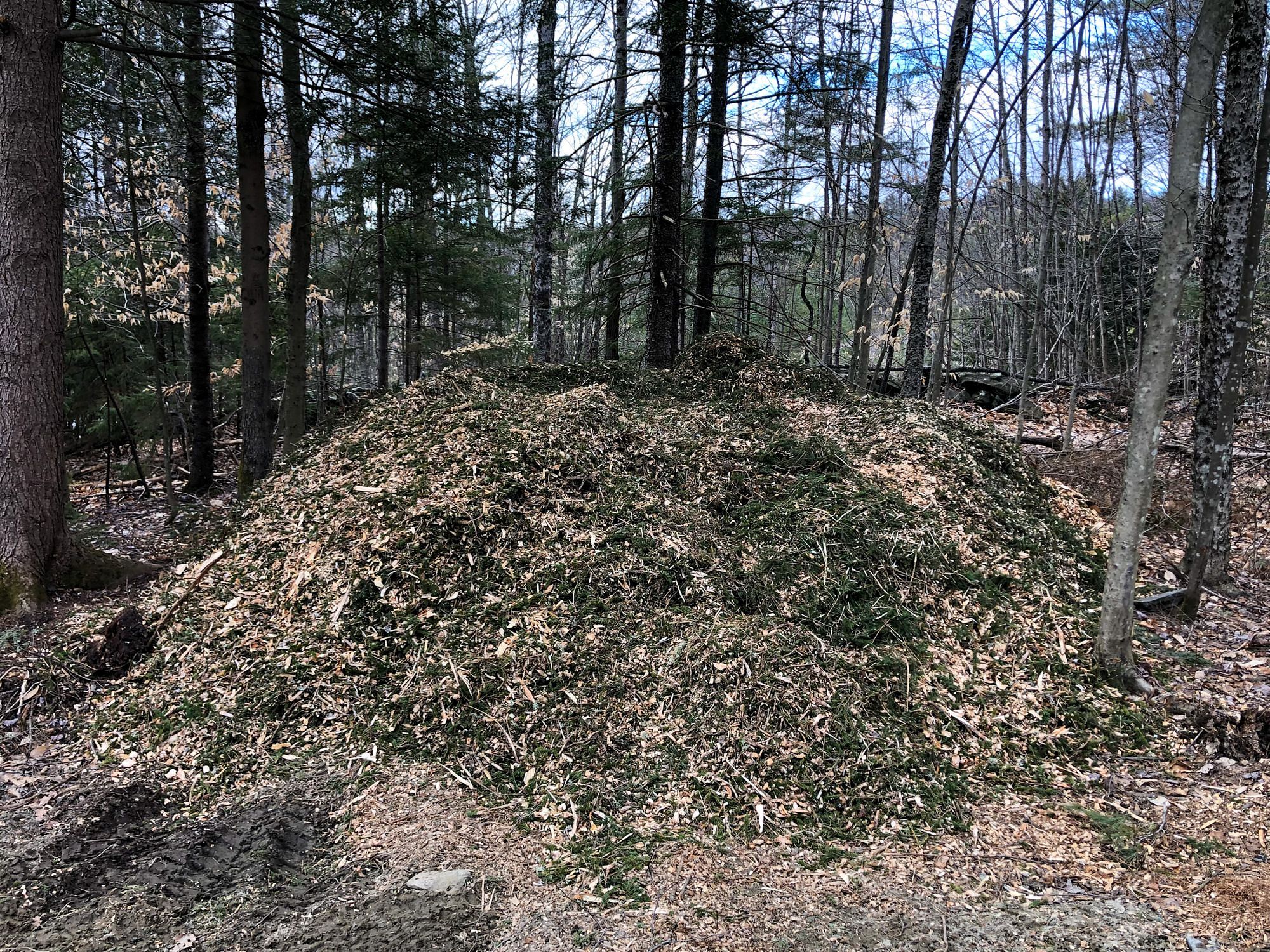 Mulch Pile