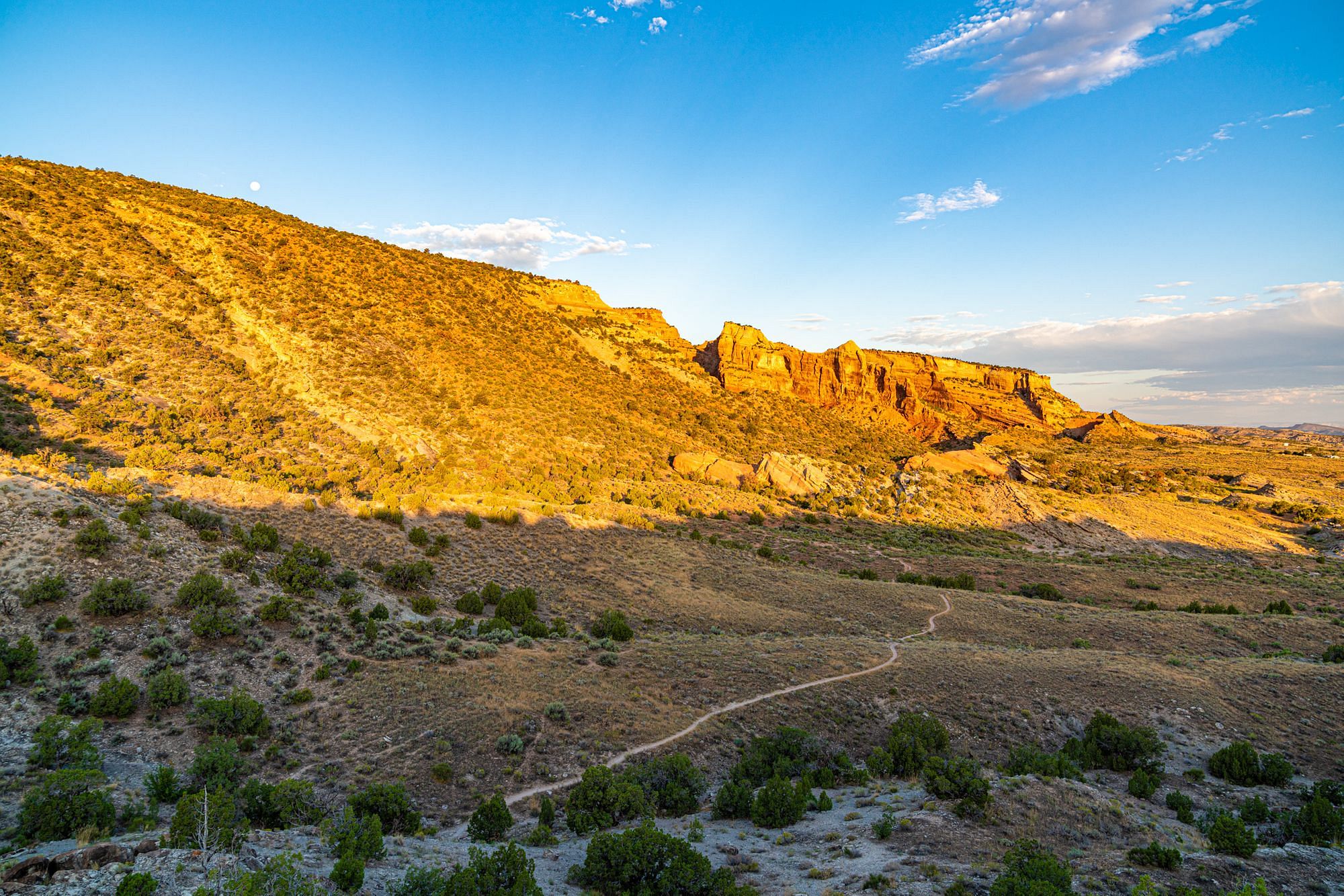 Wedding Canyon Trail