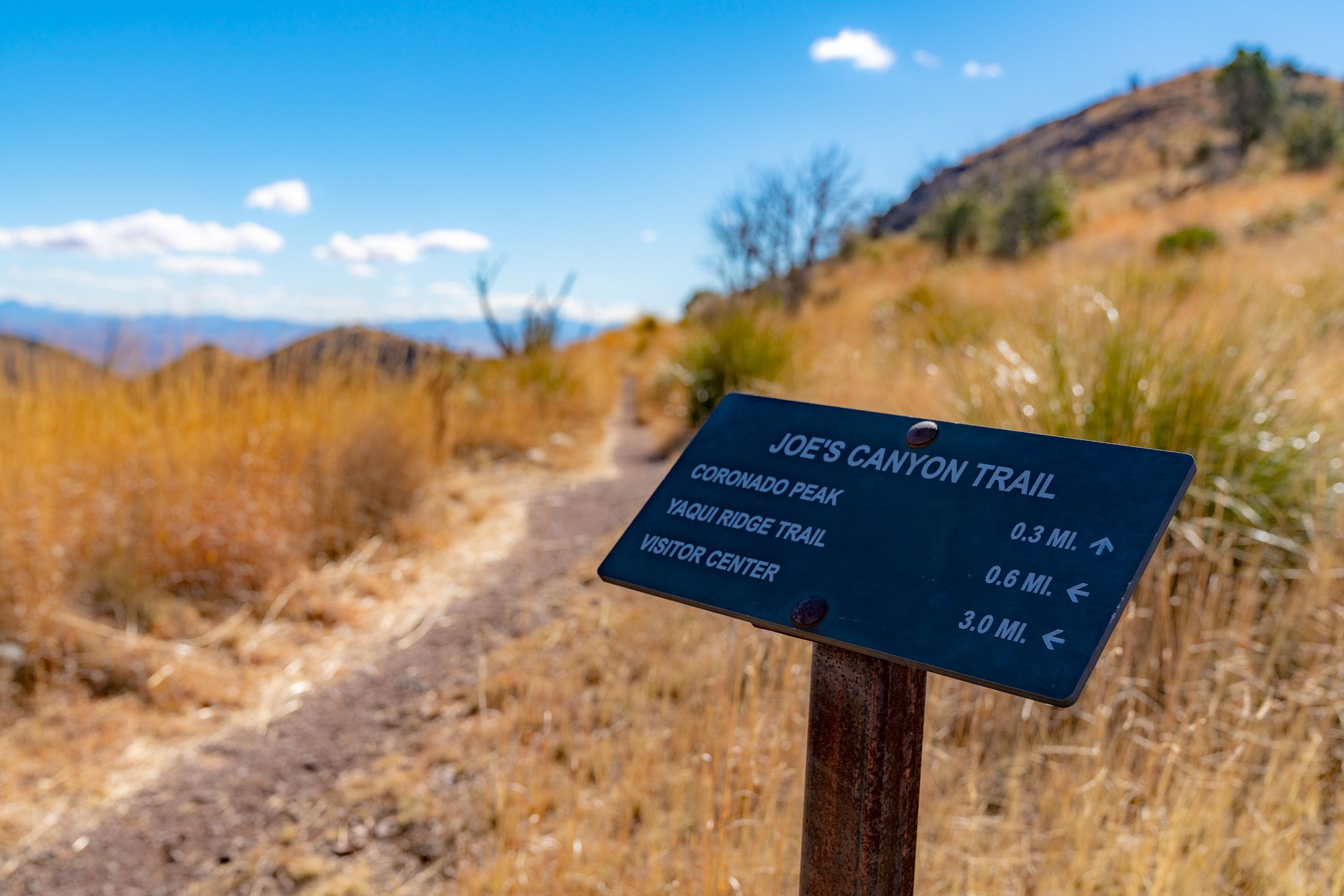 Joe's Canyon Trail