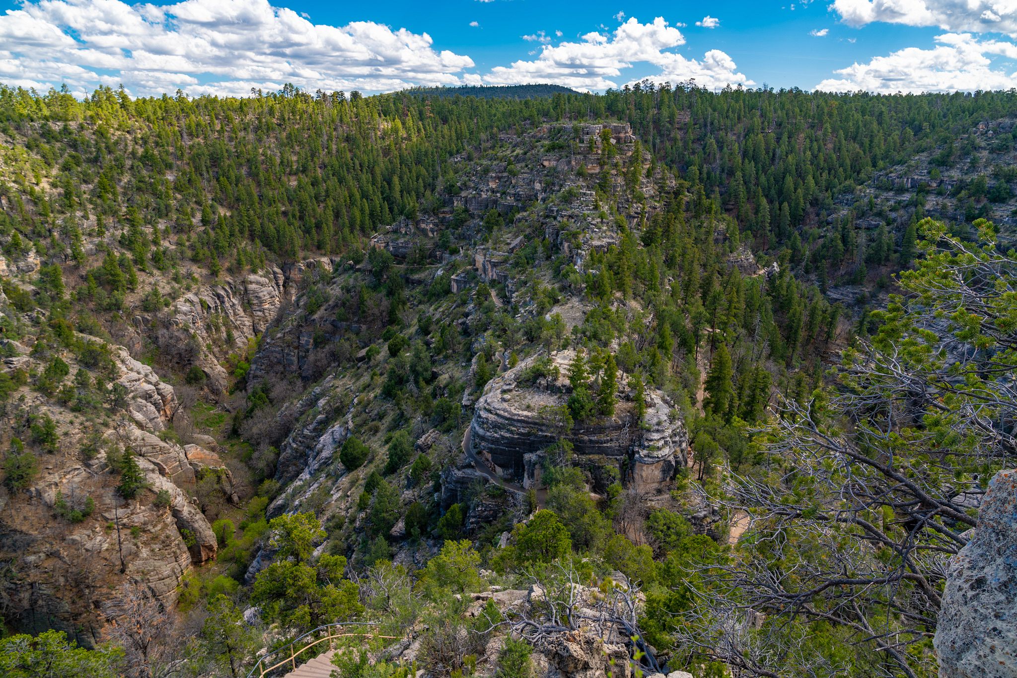 Walnut Canyon Panorama