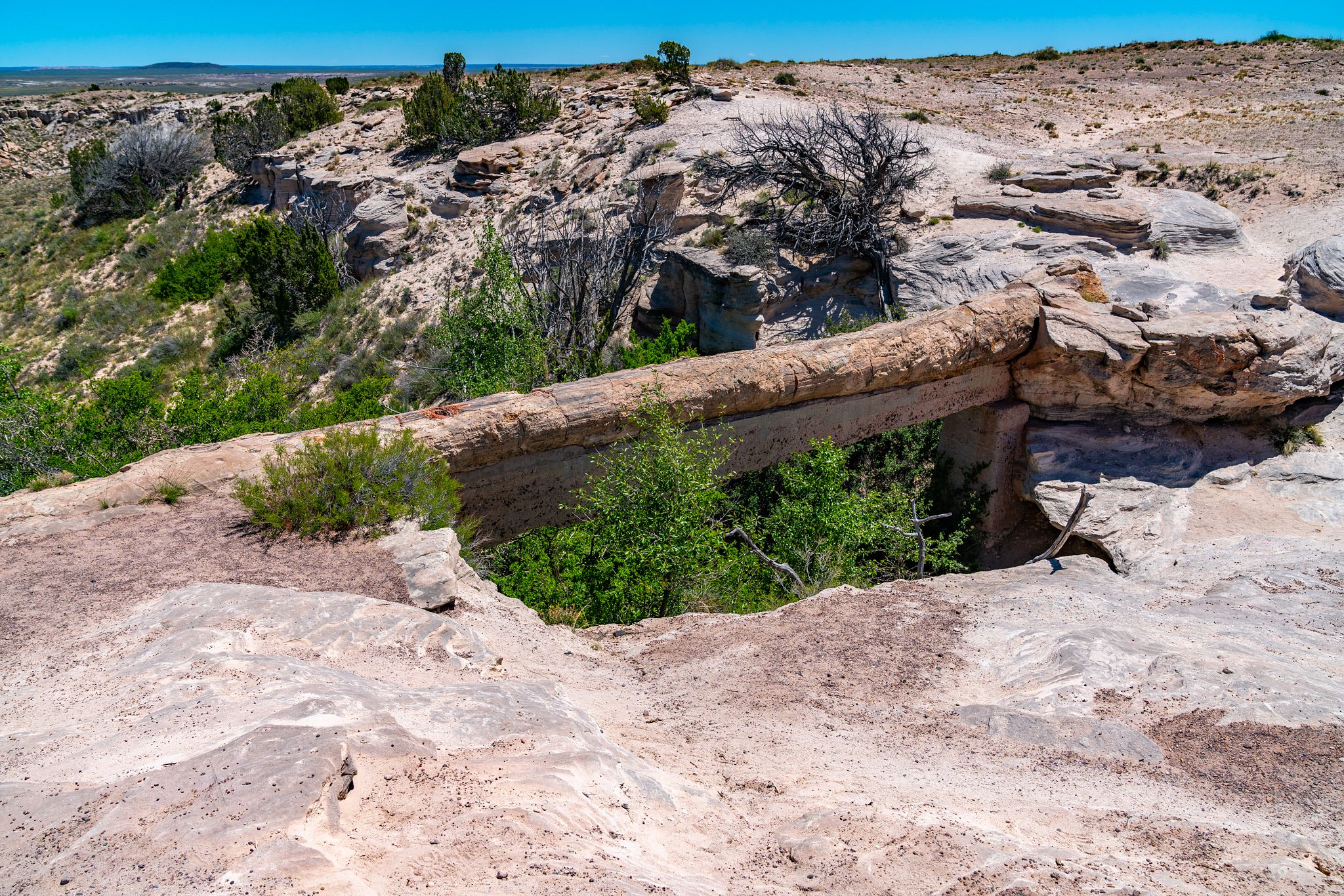 Agate Bridge