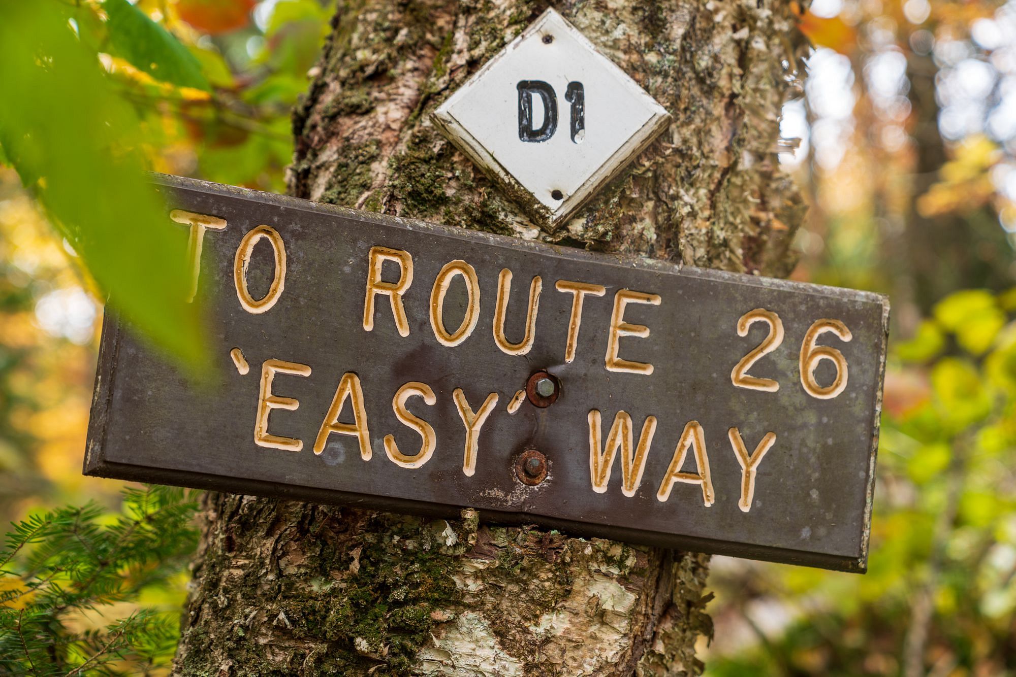 Table Rock Trail Easy Route