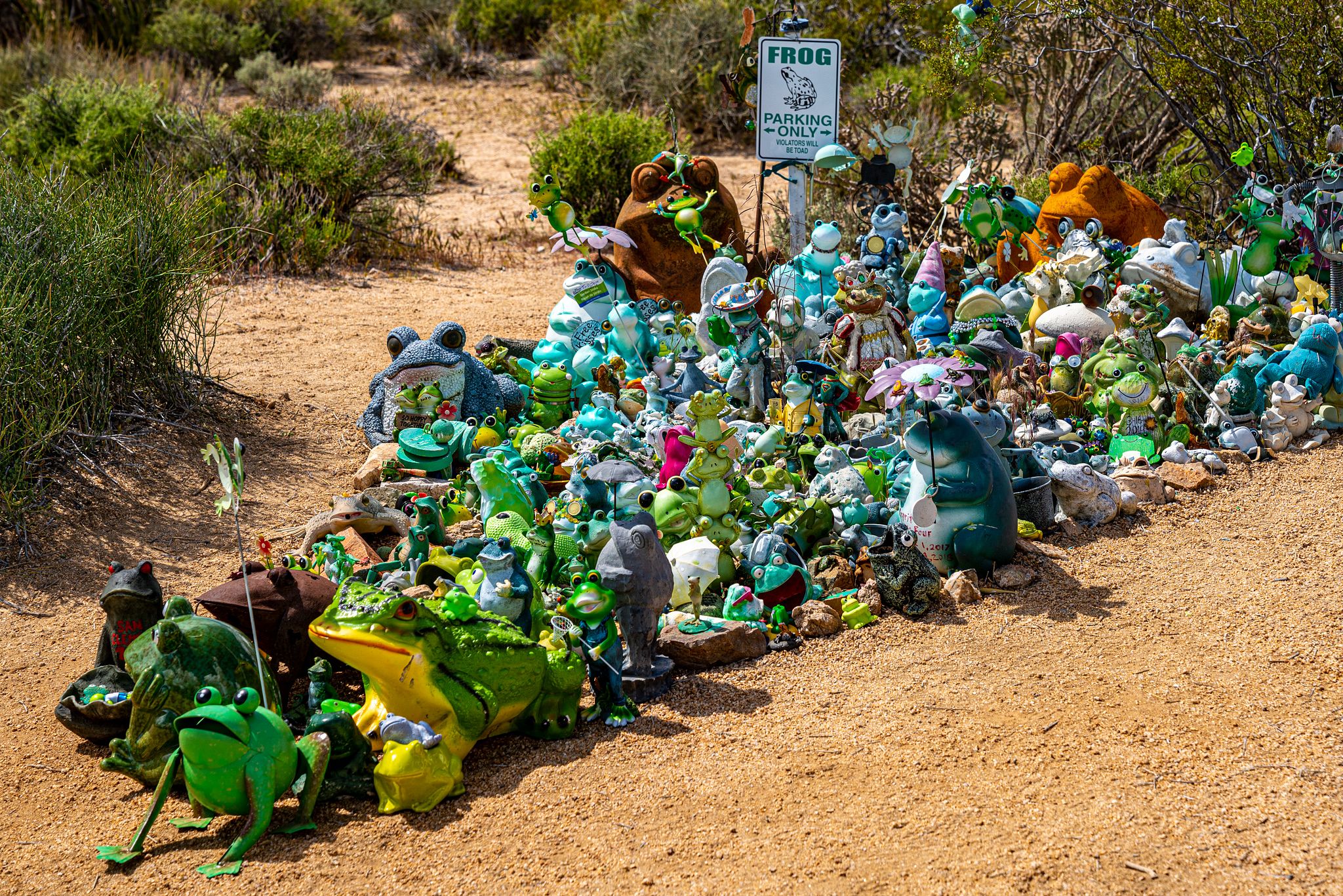 Frogs on the Mojave Road