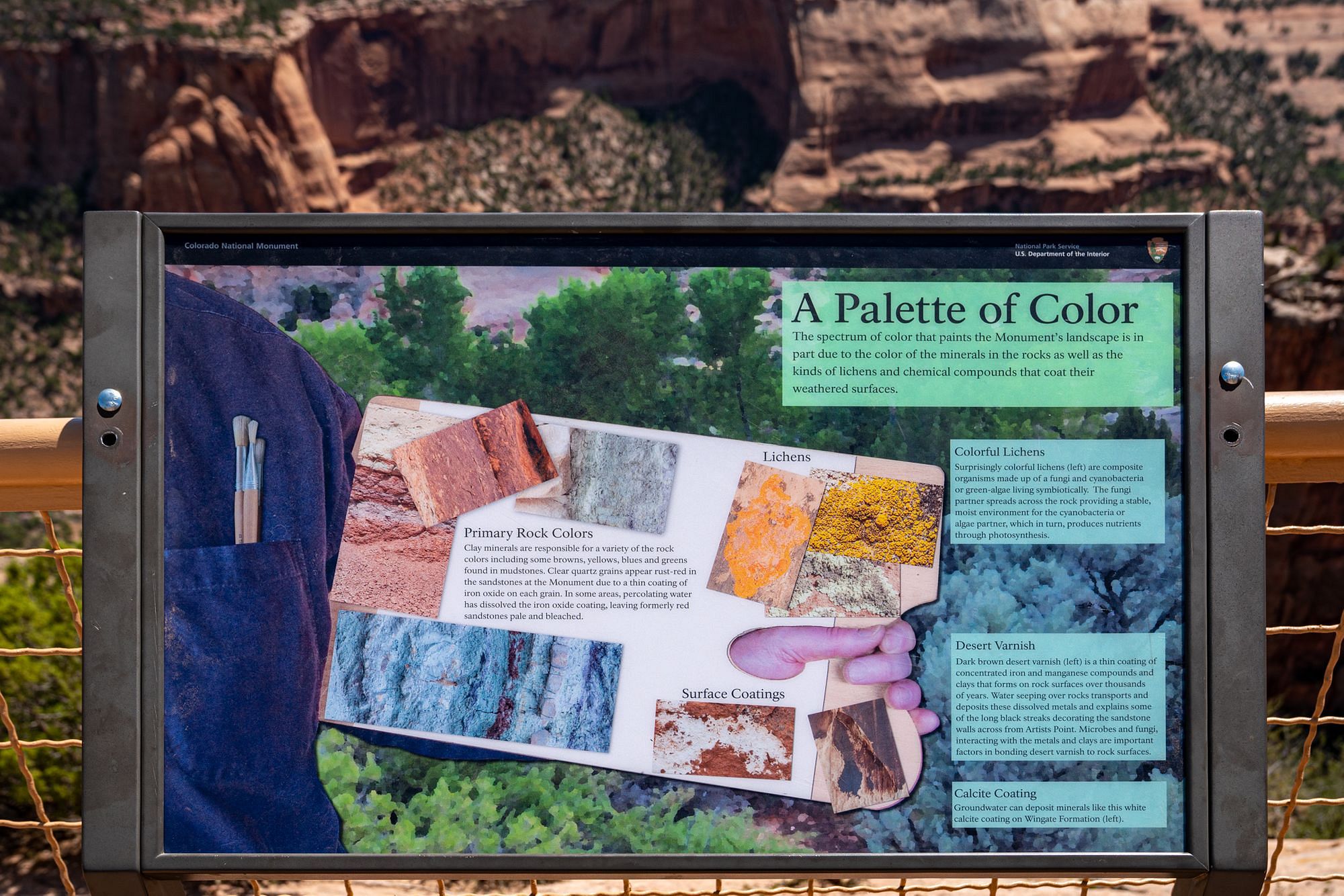 Palette of Color