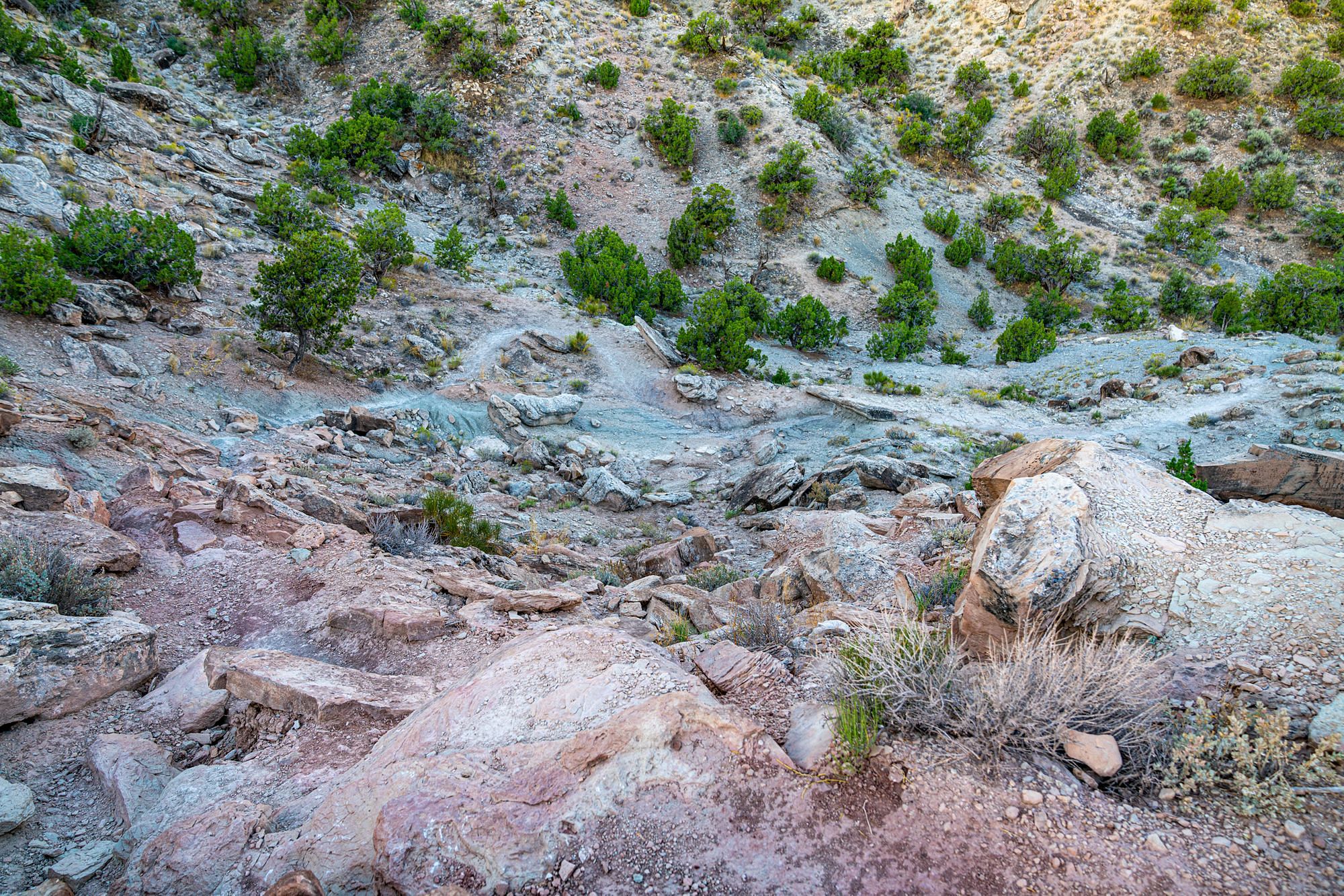 Steep Trail Section