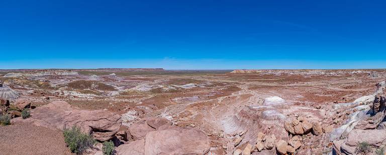 Crystal Forest Panorama