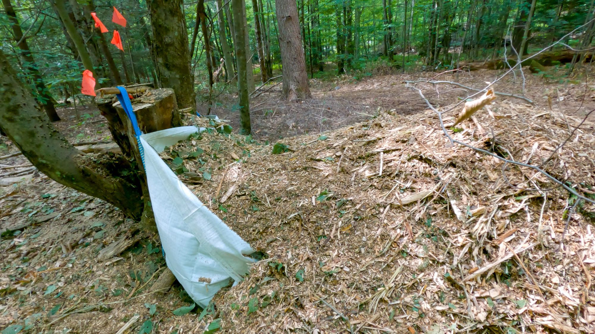 Bulk Bag Propped Open