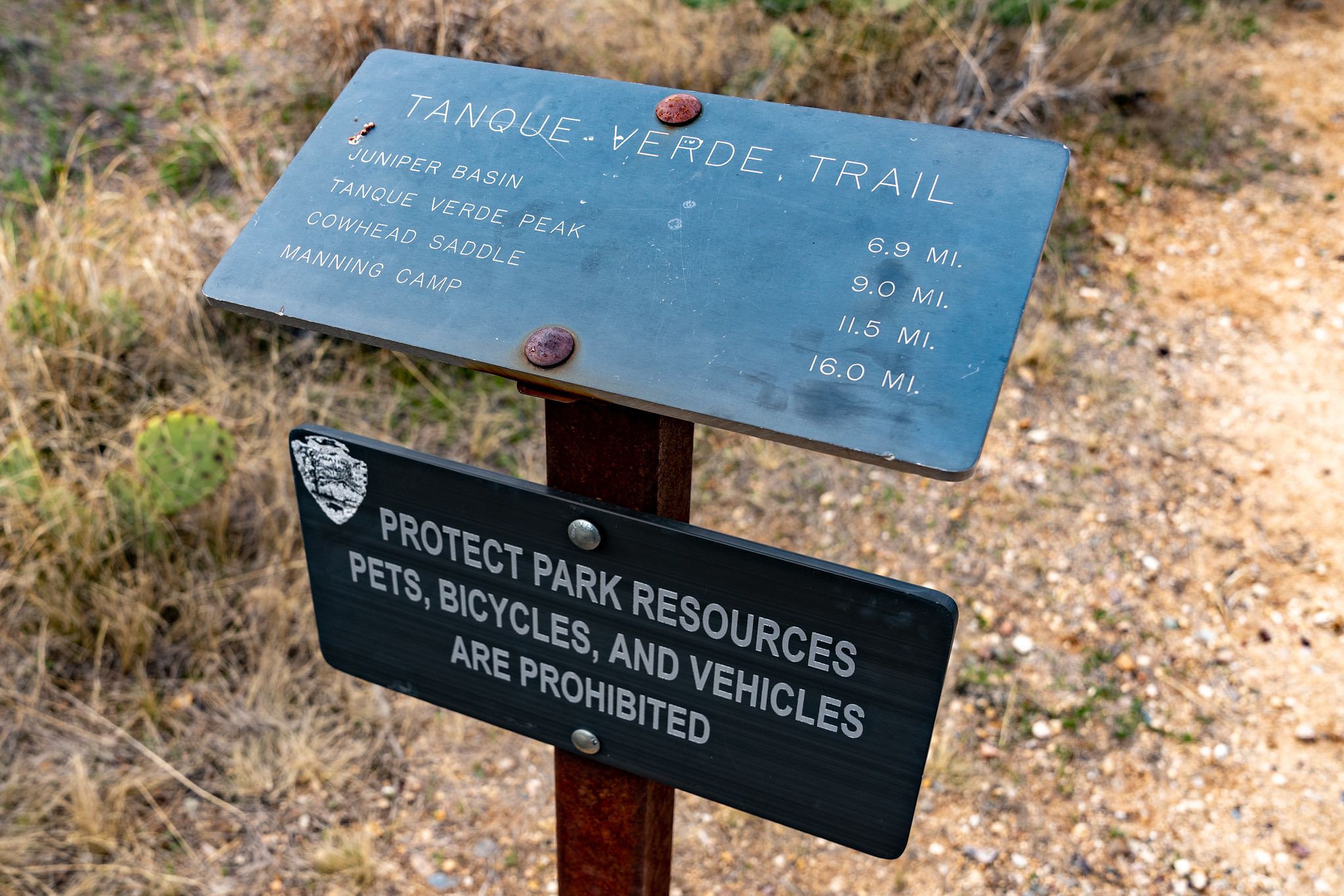 Tanque Verde Ridge Trail